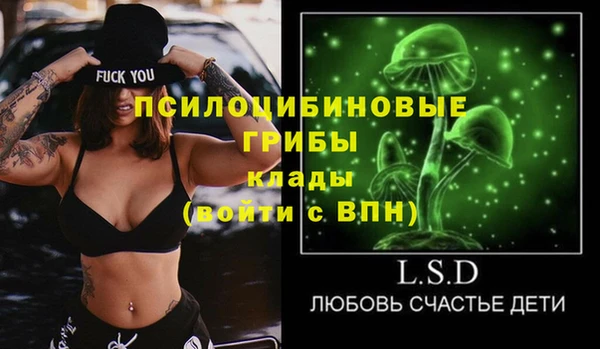 эйфоретик Надым