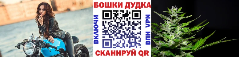 Шишки марихуана гибрид  даркнет сайт  Черногорск 